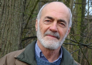 Wie kann die Anpassung der Kreisforsten Lauenburg an den Klimawandel gelingen?