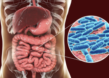 Gesundes Mikrobiom für die Gesundheit