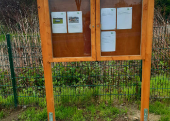 Büchen: Tischlerei Lange spendet neuen Info-Schaukasten