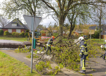 Herbststürme im Mai? Feuerwehr Bliestorf im Einsatz!