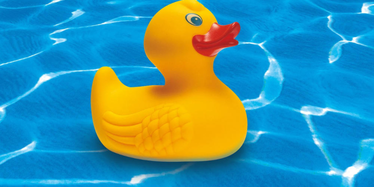 Waldschwimmbad Büchen startet am 21. Mai in die Saison