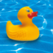 Waldschwimmbad Büchen startet am 21. Mai in die Saison