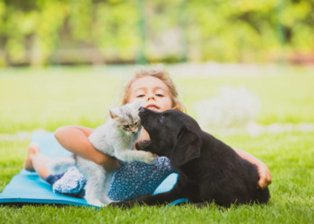 Haustierbisse sofort medizinisch versorgen