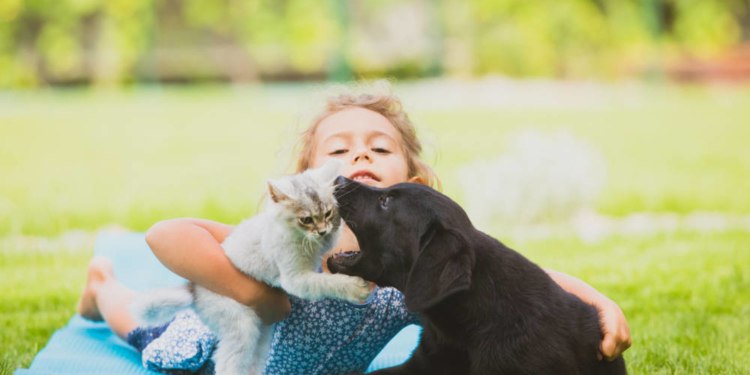 Haustierbisse sofort medizinisch versorgen