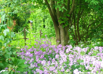 Lust auf einen Offenen Garten?