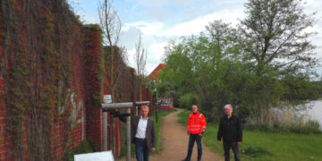 Der tapferste Baum Ratzeburgs