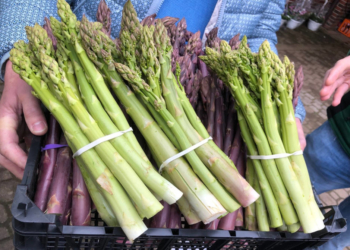 Herzogtum Lauenburg: Startschuss für den Spargel und die Außengastronomie