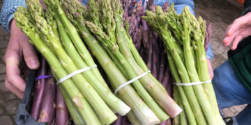 Herzogtum Lauenburg: Startschuss für den Spargel und die Außengastronomie