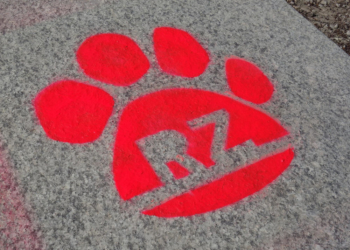 Auf den Spuren des Löwen Ratzeburg kennenlernen