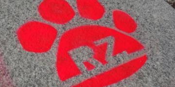 Auf den Spuren des Löwen Ratzeburg kennenlernen