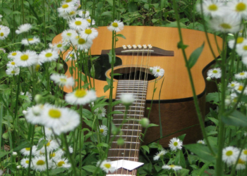 KulturSommer am Kanal: Der Kreis blüht auf