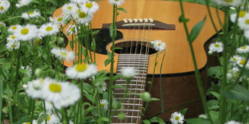 KulturSommer am Kanal: Der Kreis blüht auf