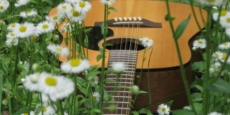 KulturSommer am Kanal: Der Kreis blüht auf