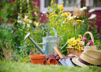 Bei einigen heimischen Gartenpflanzen drohen Vergiftungen