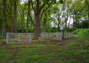 Büchen: Neue Hundeauslaufwiese am Rodelberg fertiggestellt