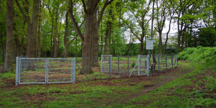 Büchen: Neue Hundeauslaufwiese am Rodelberg fertiggestellt