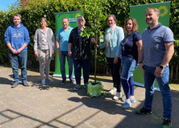 Grüne gründen Ortsverband Sandesneben-Nusse