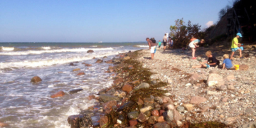 Norddeutschland oder Skandinavien? Steine mit Migrationshintergrund