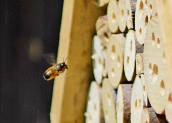 Morgens um halb sieben