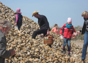 Spaß für kleine und große Schatzsucher