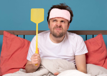 Gute Wetterbedingungen für Plagegeister im Kreis Herzogtum Lauenburg: Jetzt kommen die Mücken