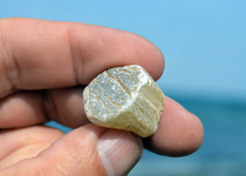 Hühnergötter, Donnerkeile und Fossilien aus der Zeit der Dinosaurier