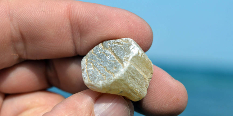 Hühnergötter, Donnerkeile und Fossilien aus der Zeit der Dinosaurier