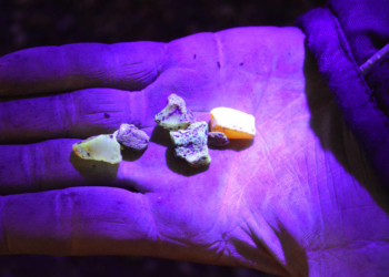 Tag und Nacht im Steinefieber