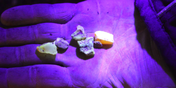 Tag und Nacht im Steinefieber