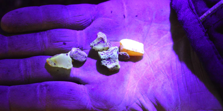 Tag und Nacht im Steinefieber