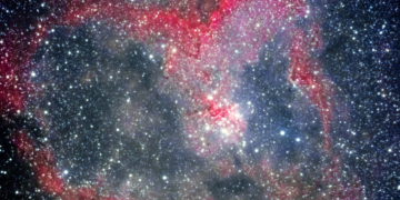 Es passiert was Schönes in Schiphorst