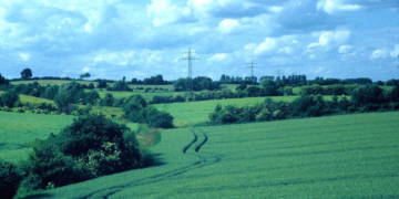 Wanderung durch die historische Knicklandschaft in Lankau
