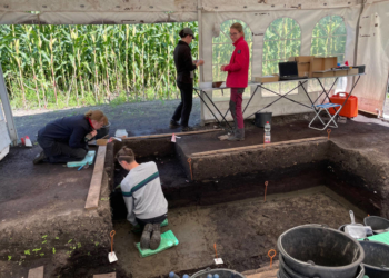 Archäologie hautnah im Duvenseer Moor