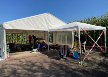 Archäologie hautnah im Duvenseer Moor