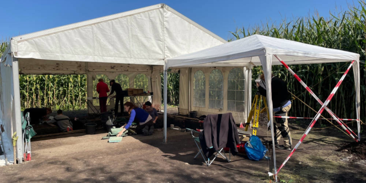 Archäologie hautnah im Duvenseer Moor