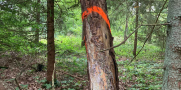 Kreisforsten Herzogtum Lauenburg im Einsatz für mehr Sicherheit im Straßenverkehr