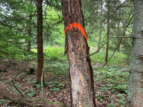 Kreisforsten Herzogtum Lauenburg im Einsatz für mehr Sicherheit im Straßenverkehr