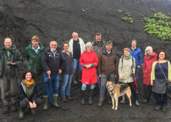 Grüne: Walfossilien in Lübeck und Lauenburg ausstellen
