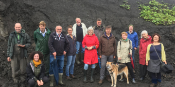Grüne: Walfossilien in Lübeck und Lauenburg ausstellen