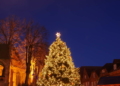 Mölln sucht Weihnachtsbaum