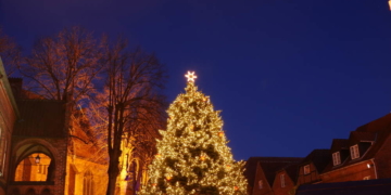Mölln sucht Weihnachtsbaum