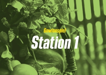 Gewinnspiel des grünen Kreisverbandes