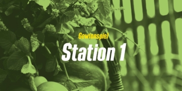 Gewinnspiel des grünen Kreisverbandes