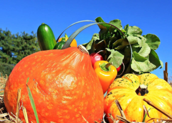 Ernteschnack auf’m Kornboden