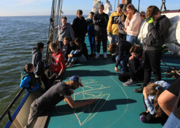 Segeltörn auf einem Dreimaster