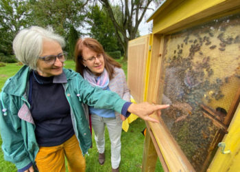 Mehr Nachhaltigkeit auf den Friedhöfen