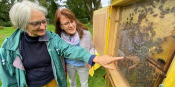 Mehr Nachhaltigkeit auf den Friedhöfen