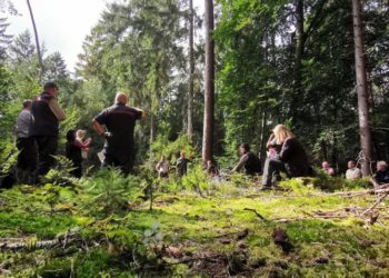 Klimaprognosen für Schleswig-Holstein und die zukünftige Baumartenwahl