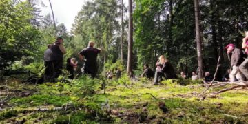 Klimaprognosen für Schleswig-Holstein und die zukünftige Baumartenwahl