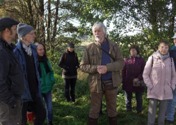 Goldener-Oktober-Spaziergang durch das Moor